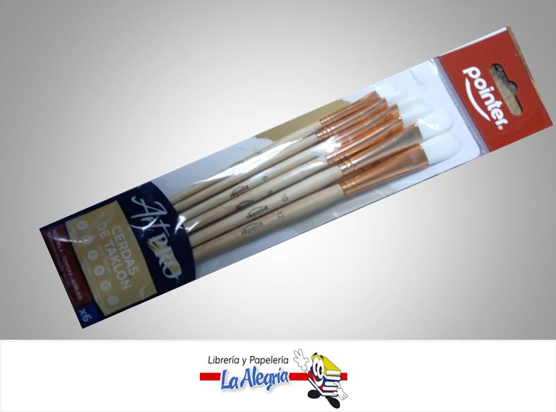 PINCEL ARTPRO TAKLON 0513A SET 6 PZAS MARCA POINTER   