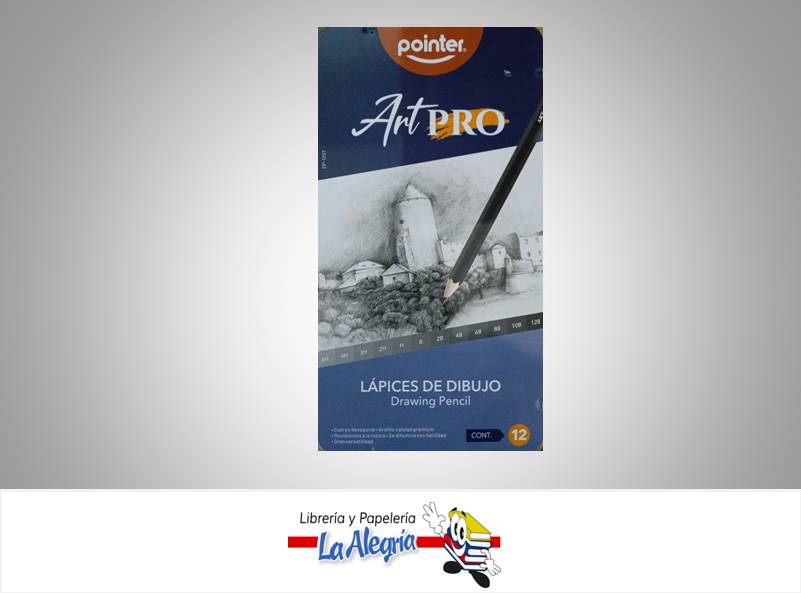 LAPIZ DE DIBUJO DESDE 6H HASTA 12B ART PRO MARCA POINTER