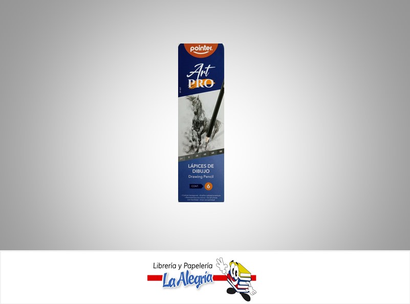 LAPIZ DE DIBUJO HEXAGONAL DP-6ST SET 6 PIEZAS  MARCA POINTER