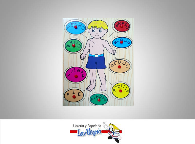 ROMPECABEZA DIDACTICO CUERPO HUMANO MARCA POINTER   