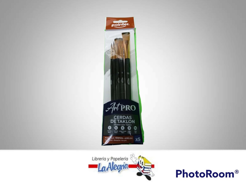 PINCEL MANGO CORTO SET 5 PZA. AB101002 MARCA POINTER   