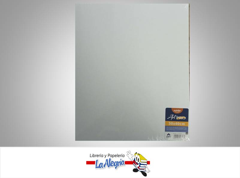 LIENZO EN BLANCO 30 X 40 CM ART PRO MARCA POINTER   
