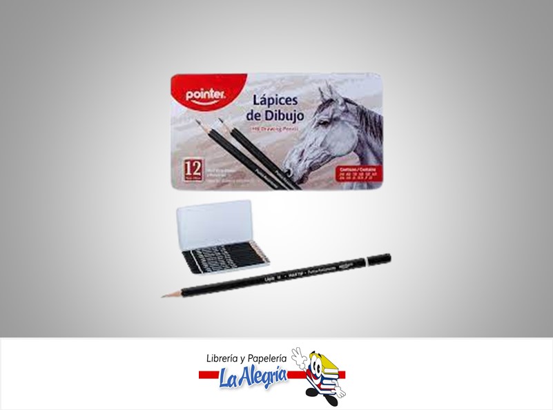 LAPIZ DE DIBUJO B-9B/HB/F/H ESTUCHE MET MARCA POINTER   