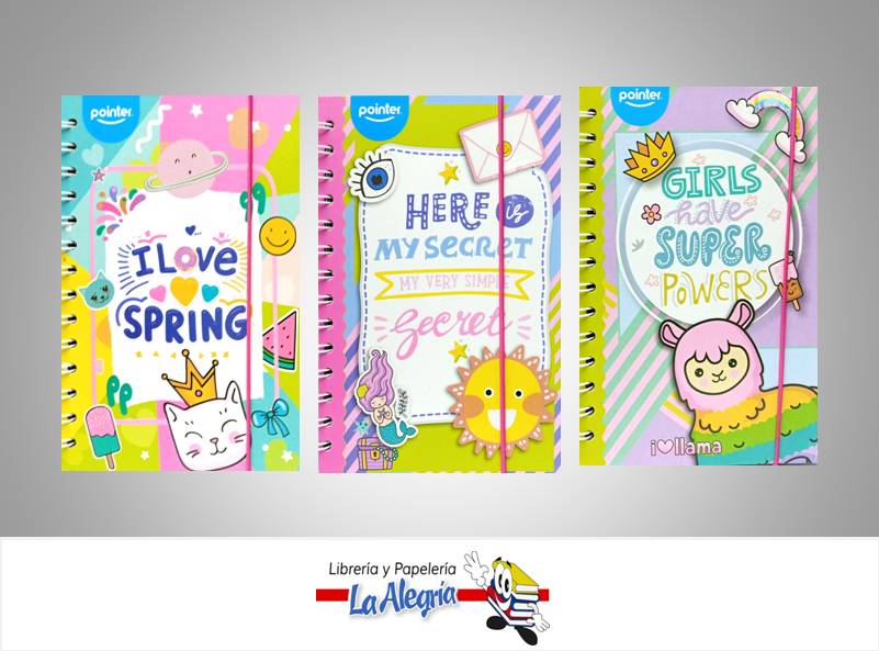 AGENDA ESPIRAL 13X19,8CM 2021-2023 UND MARCA POINTER   