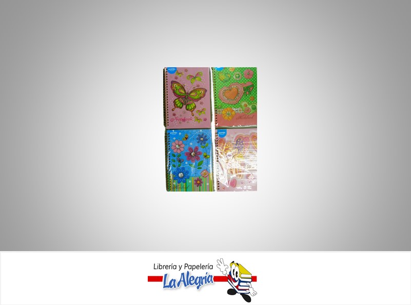 LIBRETA NOTA ESPIRAL NB1708A5 21X14,5 CM MARCA POINTER   
