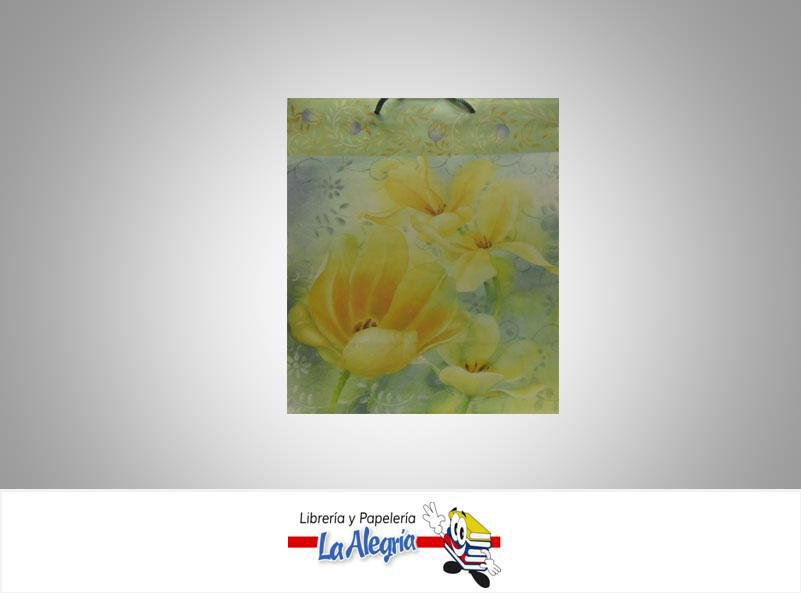 BOLSA DE REGALO 33X26CM MUJER MARCA PARTY GRAM   