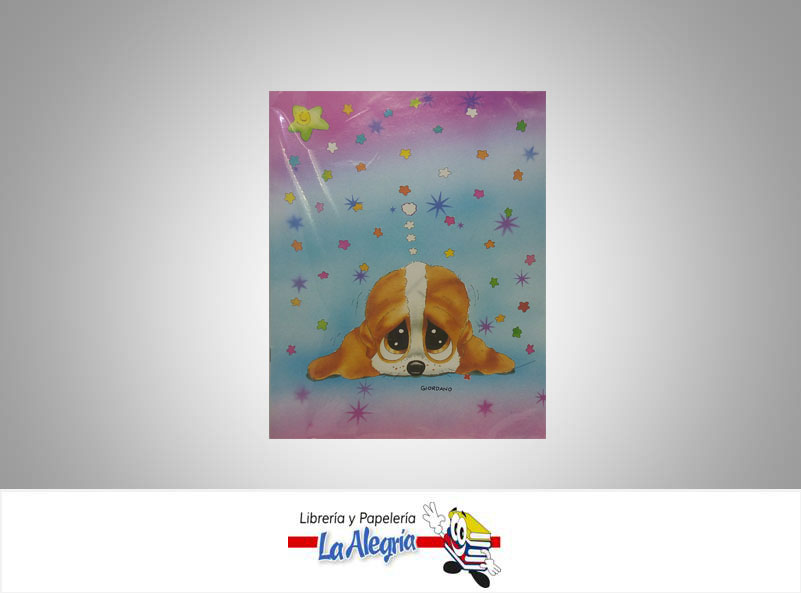 TARJETON 22X31 CM TODA OCASION UND MARCA S/M   