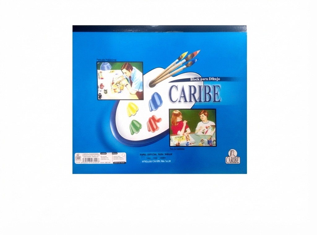 BLOCK DIBUJO ENCOLADO 48CM X 32.5CM 18 HOJAS REF: N066196DU MARCA CARIBE
