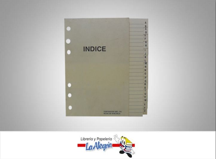 INDICE P/AGENDA 6 ANILLO 16X10,5CM MARCA CAPI   