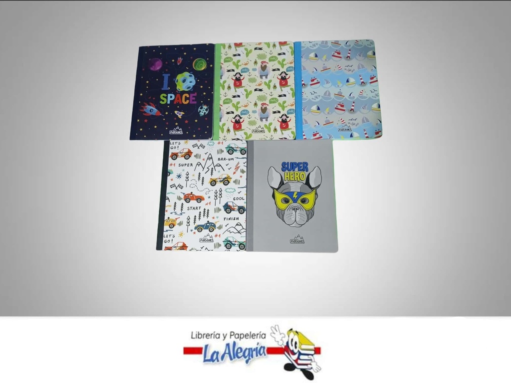 LIBRETA COSIDA 100 HOJAS CON STICKERS DOBLE LINEA 24.7X19CM ESTAMPADO MARCA PARAMO