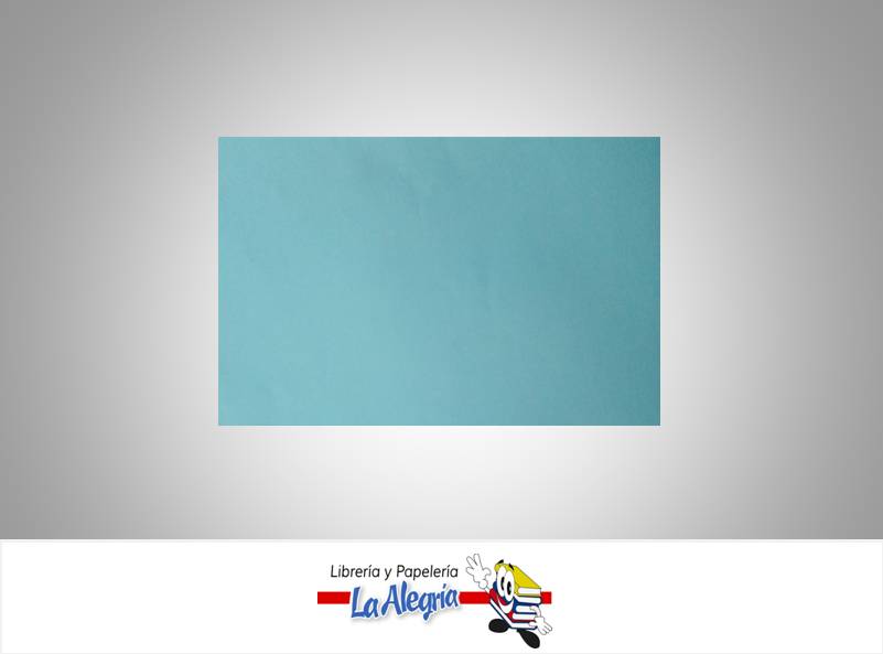 CARTULINA BRISTOL 66X96 CM AZUL UND MARCA S/M   