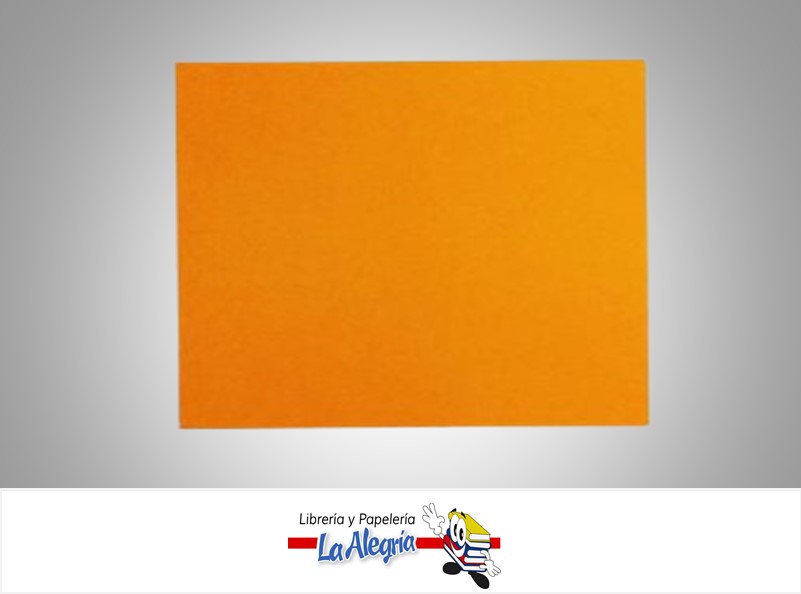 CARTULINA BRISTOL 66X48 CM NARANJA  UND 120GR MARCA S/M   