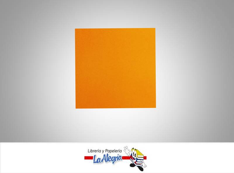 CARTULINA DOBLE FAZ 66X48CM NARAN CL UND 273GR MARCA S/M   