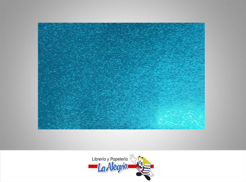 CARTULINA ESCARCHADA MICRO METALIZADA 50X70 CM AZUL UND 350GR MARCA S/M