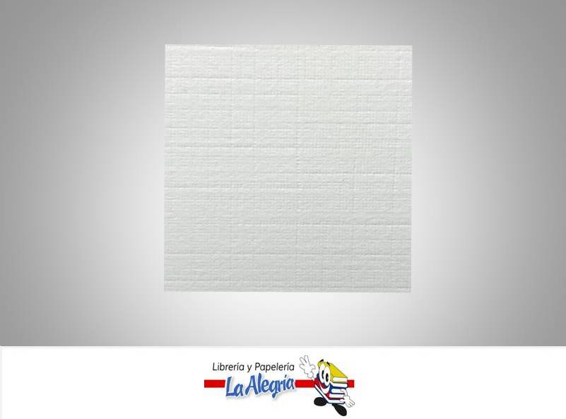 CARTULINA HILO 50X70 CM BLANCO UND MARCA S/M   