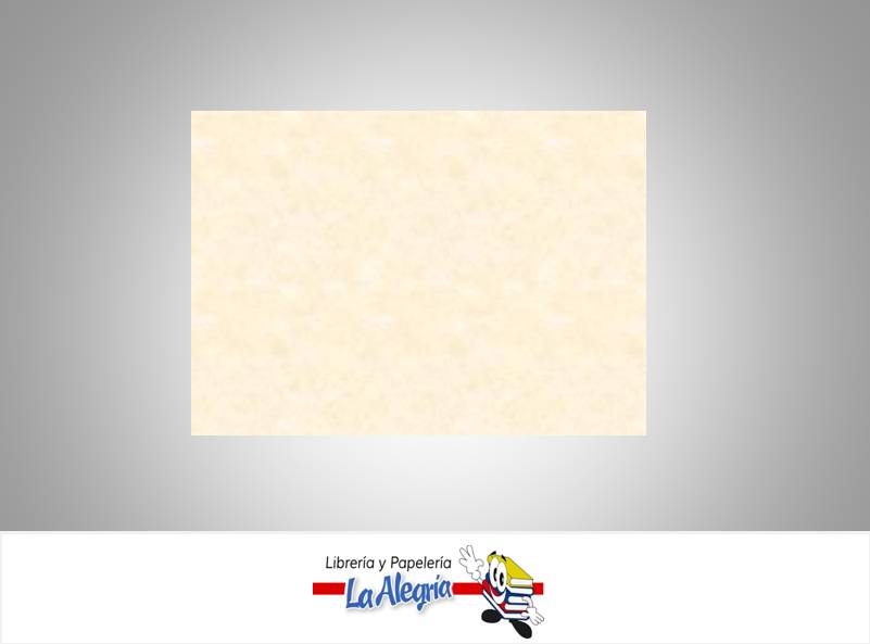 CARTULINA TEXTURIZADA 216X279MM LINAJ UN MARCA O.K.   