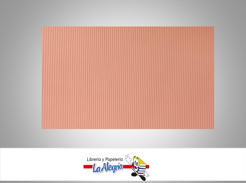 CARTON CORRUGADO 50X70 CM CARNE UND MARCA S/M