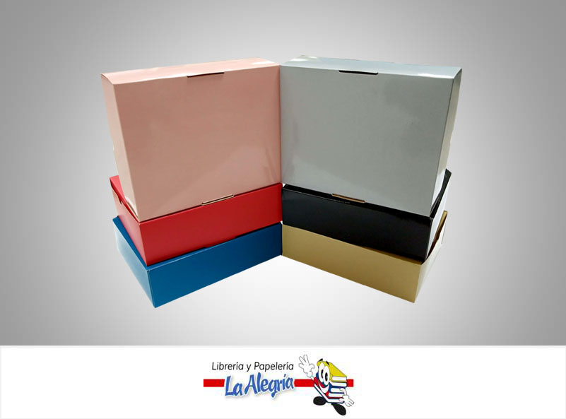 CAJA REGALO 24X16X8,5CM COLOR VARIAD UND MARCA S/M   