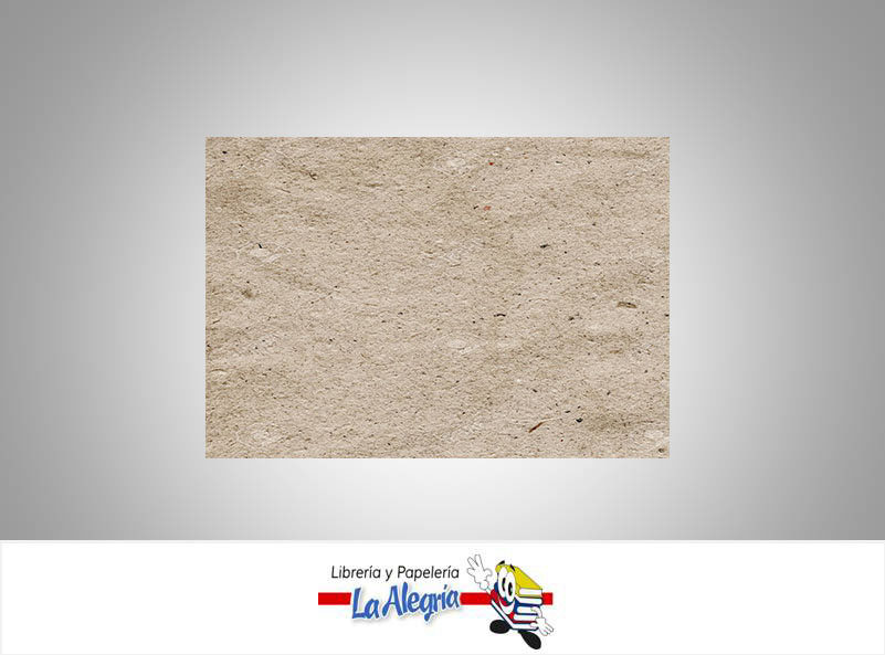 CARTON MARRON 1 EN KG CALIBRE 80 80X100CM UND MARCA S/M