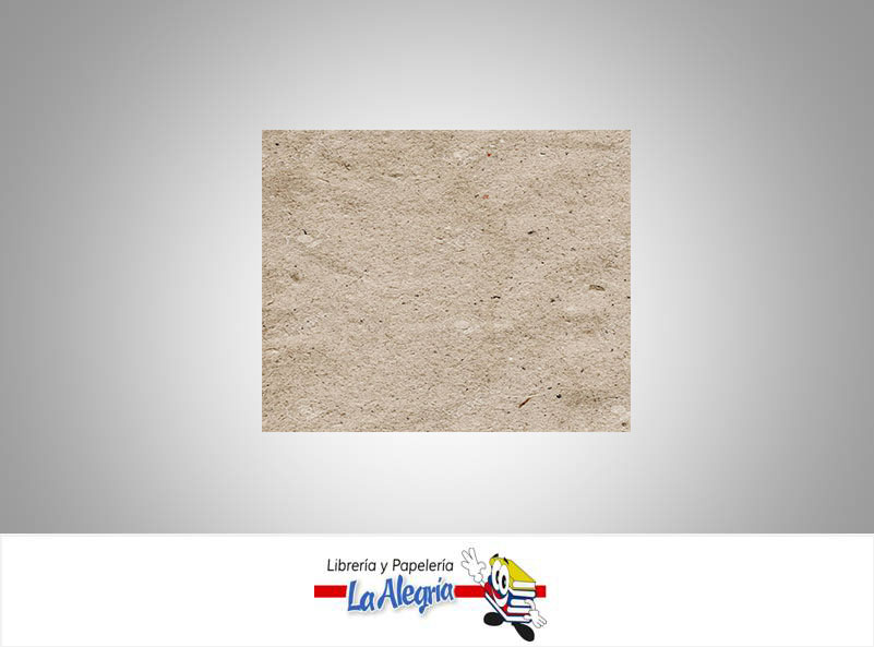 CARTON 3 EN KG 0,75MM 283GR 70X100CM UND MARCA S/M   