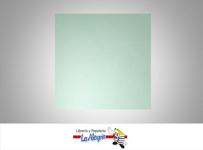 CARTULINA FAVINI 70X100 CM VERDE MENT UN MARCA FAVINI   