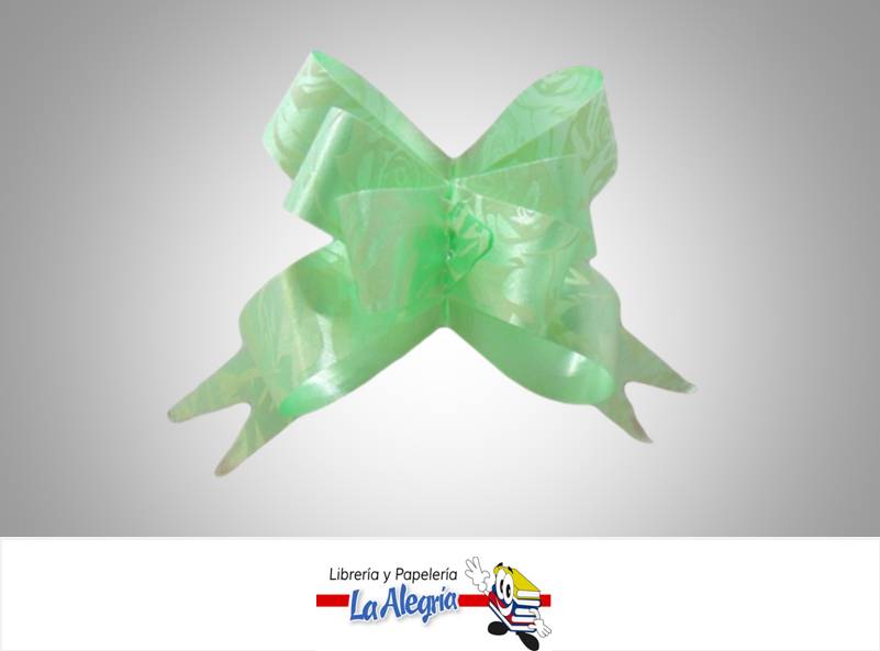 LAZO MAGICO 18X390MM VERDE MENT/ROSA UND MARCA HAND DRAW FLOWER   