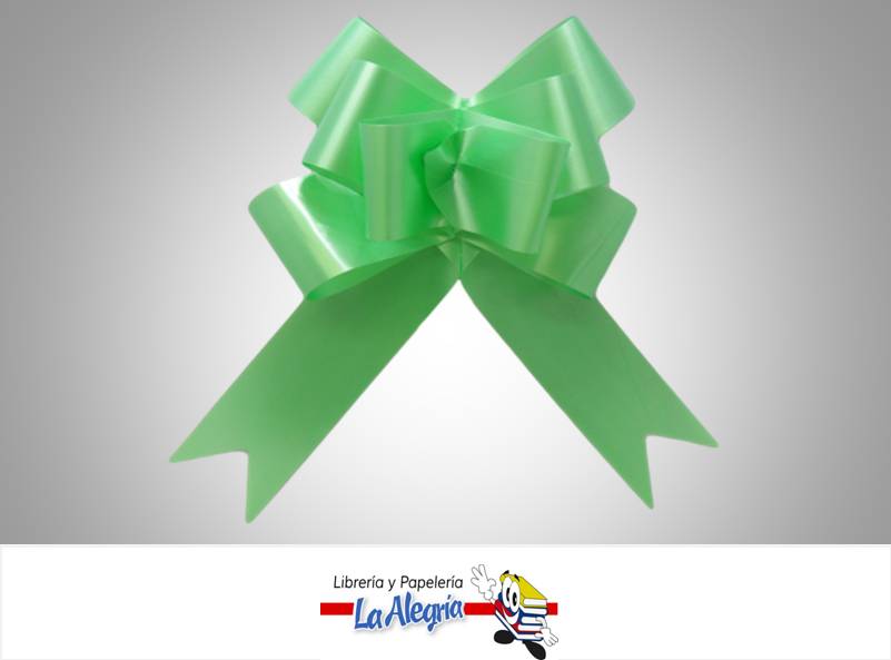LAZO MAGICO 50X890MM VERDE MENTA UND MARCA HAND DRAW FLOWER   