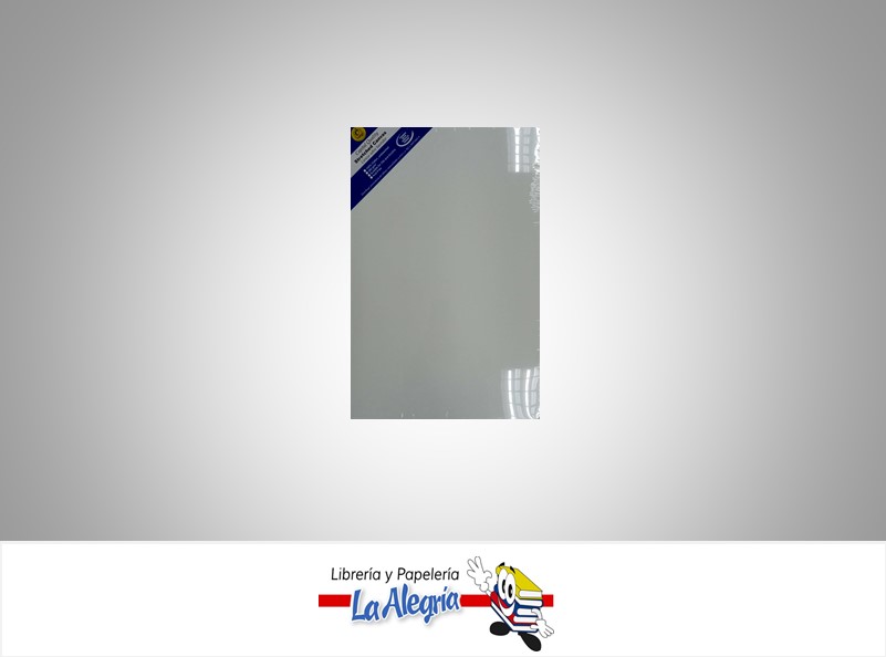 LIENZO SOBRE BASTIDOR 100X120 CM MARCA S/M   