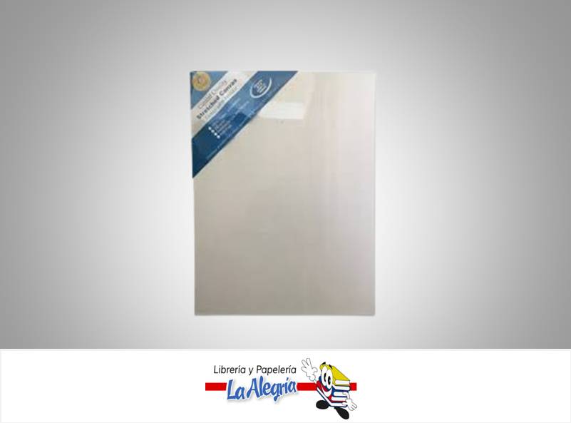 LIENZO SOBRE BASTIDOR 40X120 CM MARCA S/M   