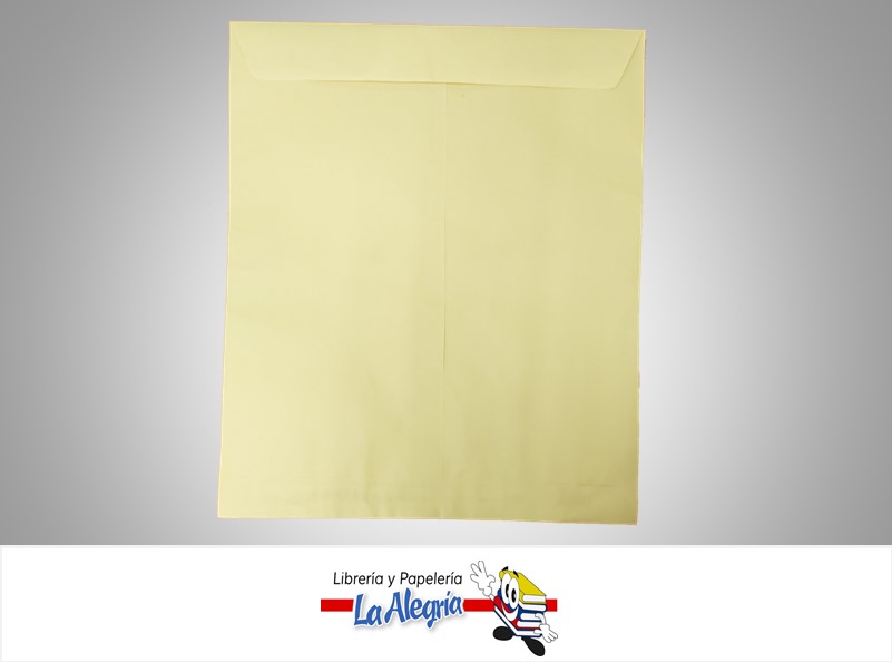 SOBRE KRAFT RADIOGRAFIA 45X38,2 CMUND MARCA S/M   