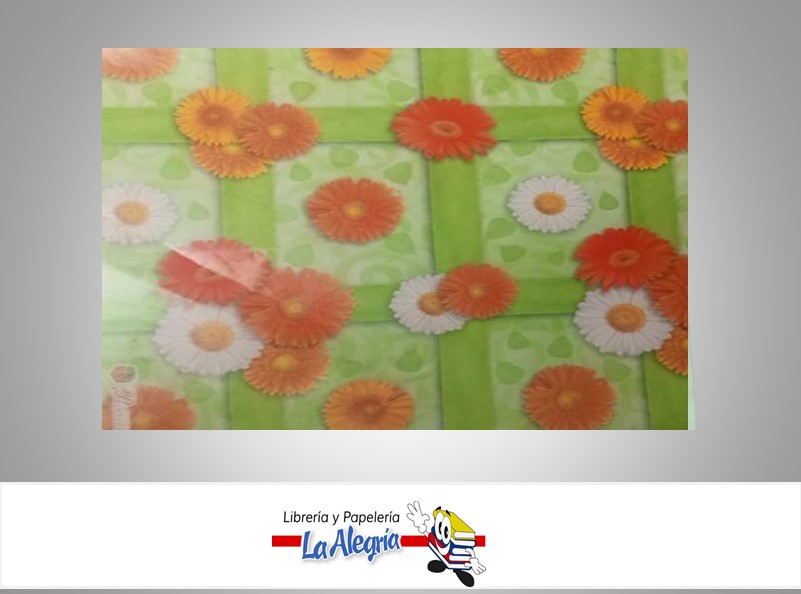 PAPEL DE REGALO PLIEGO1 CARA IMPORTADO    