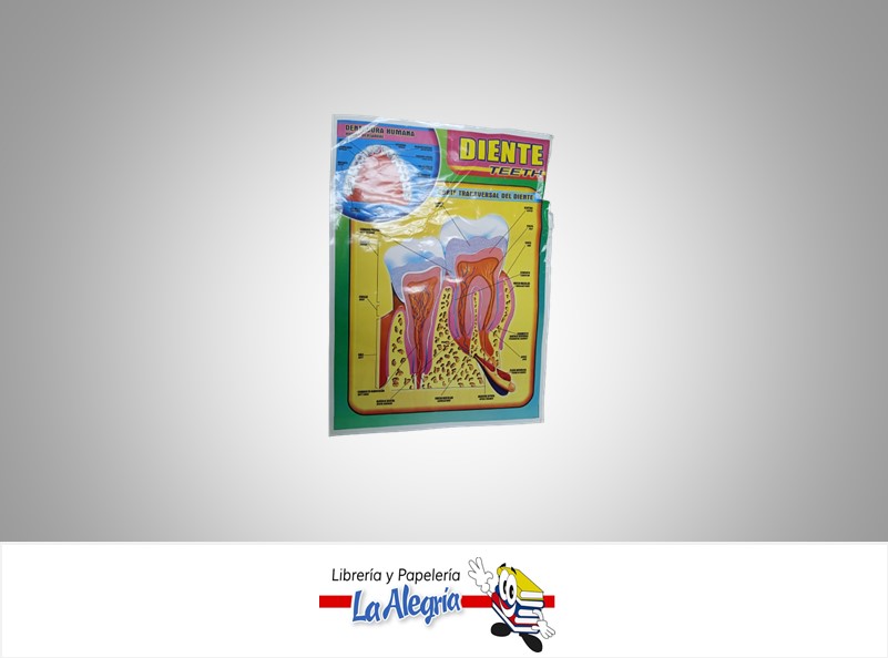AFICHE GRANDE LOS DIENTES UND MARCA S/M