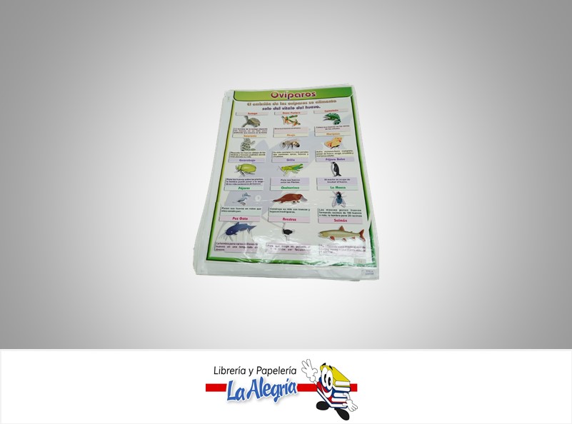 AFICHE GRANDE OVIPAROS MARCA S/M