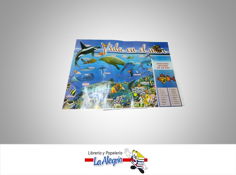 AFICHE GRANDE VIDA EN EL MAR  MARCA S/M