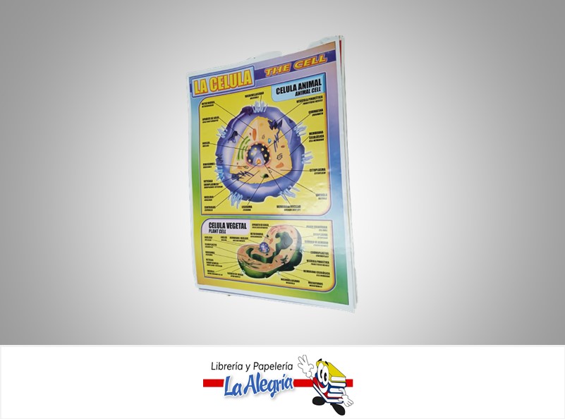 AFICHE GRANDE LA CELULA MARCA S/M