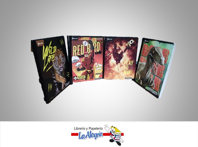 LIBRETA COSIDA  SUMMER NIÑO 100 HOJAS 1 LINEA STICKERS MARCA NORMA