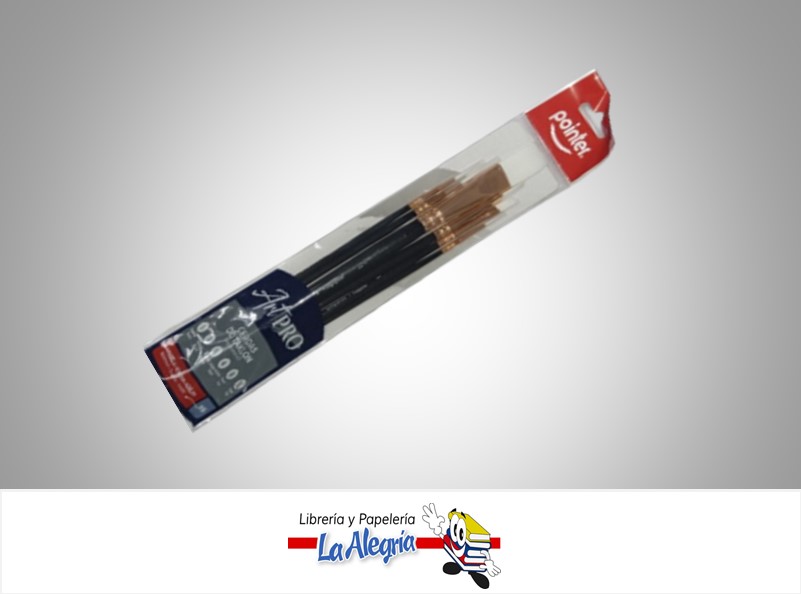 PINCEL ARTPRO TAKLON AB2231 SET 6 PZAS MARCA POINTER