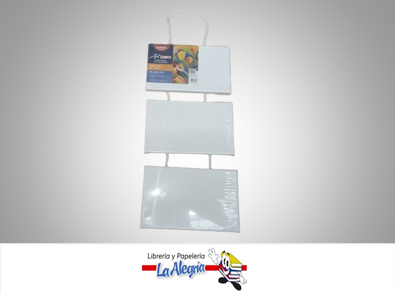 LIENZO EN BLANCO 3 PARTES CA18357W 17.5X12.5CM MARCA POINTER