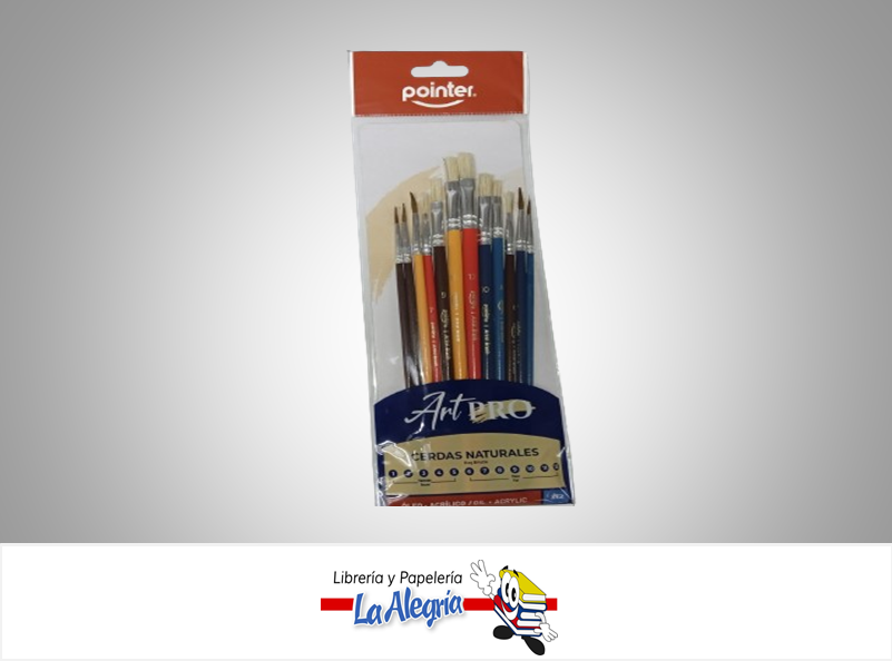 PINCEL ARTPRO AB3599 SET 12 PZAS MARCA POINTER