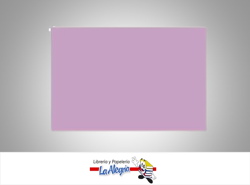 CARTULINA DOBLE FAZ 66X48 CM LILA UND 273GR MARCA S/M