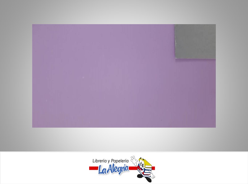 CARTULINA DOBLE FAZ DOBLE CARA 50X70CM LILA-GRIS UND 239GR  MARCA S/M