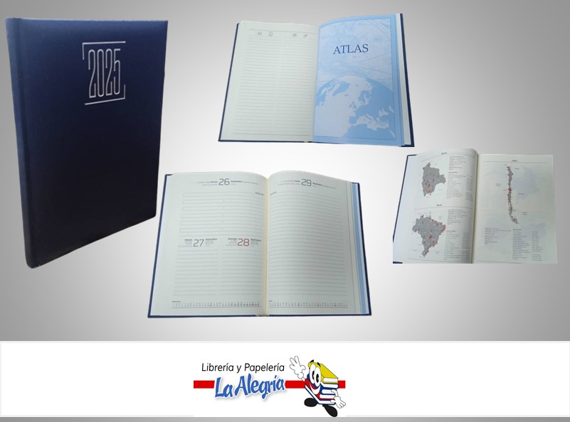 AGENDA 2025 DIARIA LUNA AZUL C45 MARCA ARTESCO