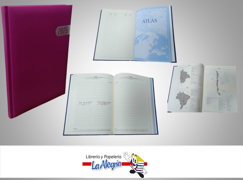 AGENDA 2025 DIARIA POSITANO VIOLETA 501 MARCA ARTESCO