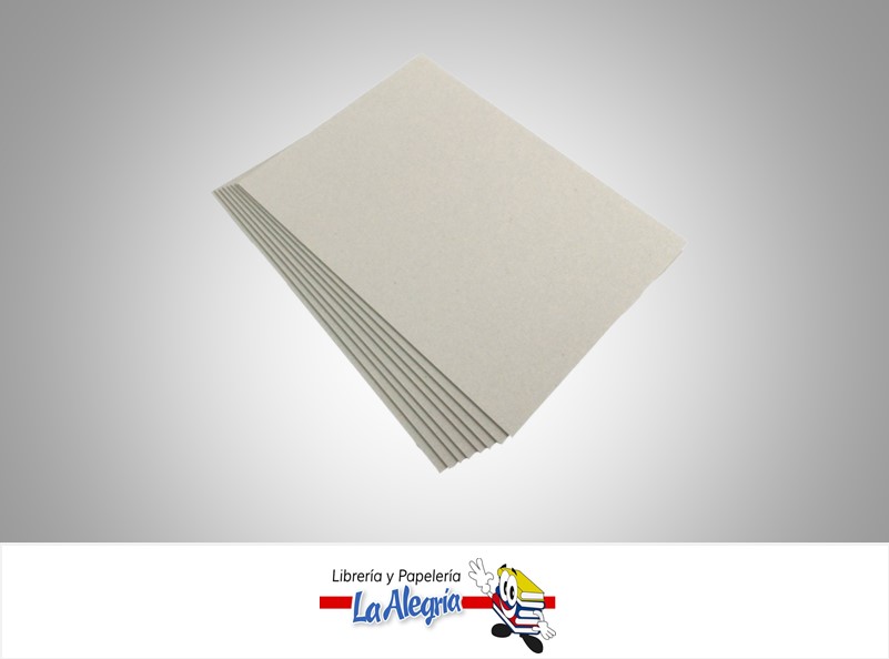CARTON GRIS 2 EN KG 450GR 70X93CM GRIS UND MARCA S/M