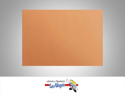 [6648C056] PAPEL BOND VIVO 64X45 CM NARANJA UND MARCA S/M   