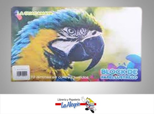 [6923625021547] BLOCK LUSTRILLO 10 HOJAS COLORES SURTIDOS MARCA LA GUACAMAYA