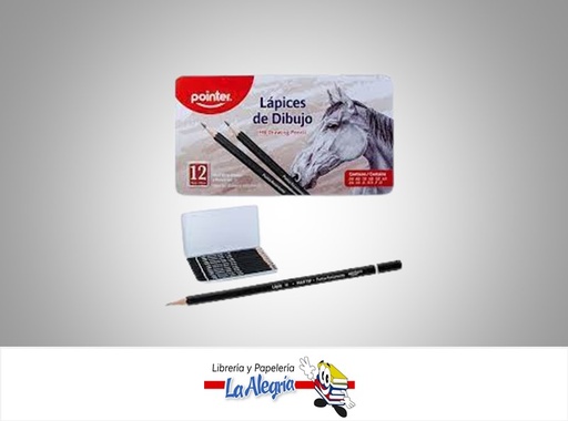 [7453038474429] LAPIZ DE DIBUJO B-9B/HB/F/H ESTUCHE MET MARCA POINTER   