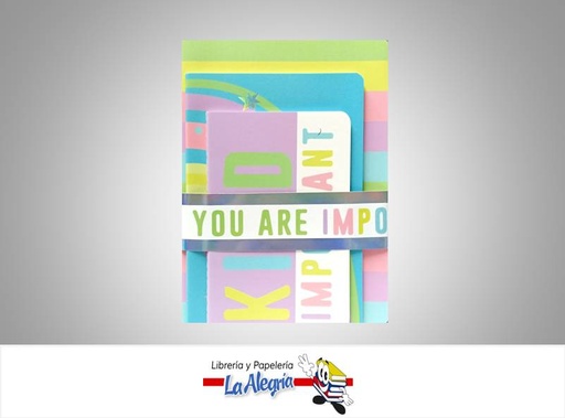 [7453038489683] LIBRETA NOTA ENGRAP 20,5X15 CM 3PZ NB197 MARCA POINTER   