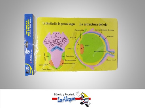 [9123456783189] FIGURA DE FOAMI OJO Y GUSTO REF MU318 MARCA L.O.   
