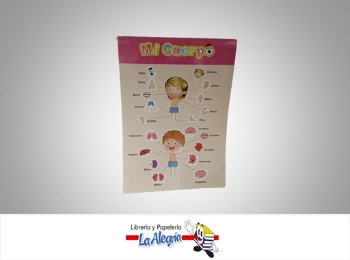 [AFEDUCTIVO06] AFICHE EDUCATIVO MI CUERPO 42X28CM MARCA S/M